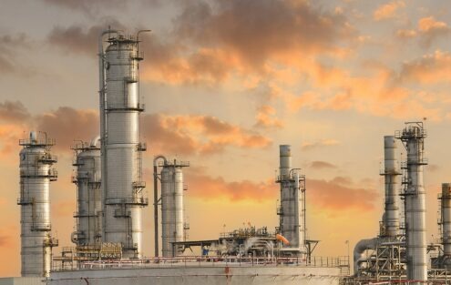 Article 52 : On a passé le pic de pétrole en 2019 : quel impact sur la biodiversité et la nature ?