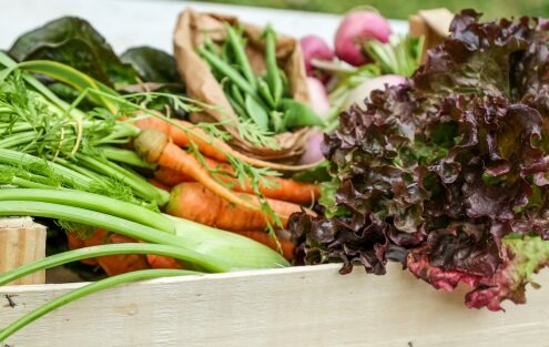 Article 57 : Être locavore et bio : choisir une alimentation qui a du sens
